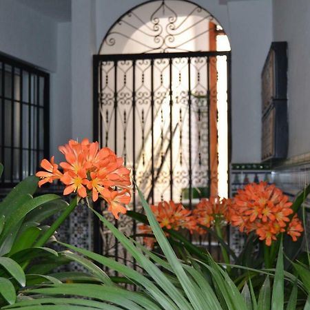 דירות קורדובה Nuevo Sueno Del Alcazar מראה חיצוני תמונה