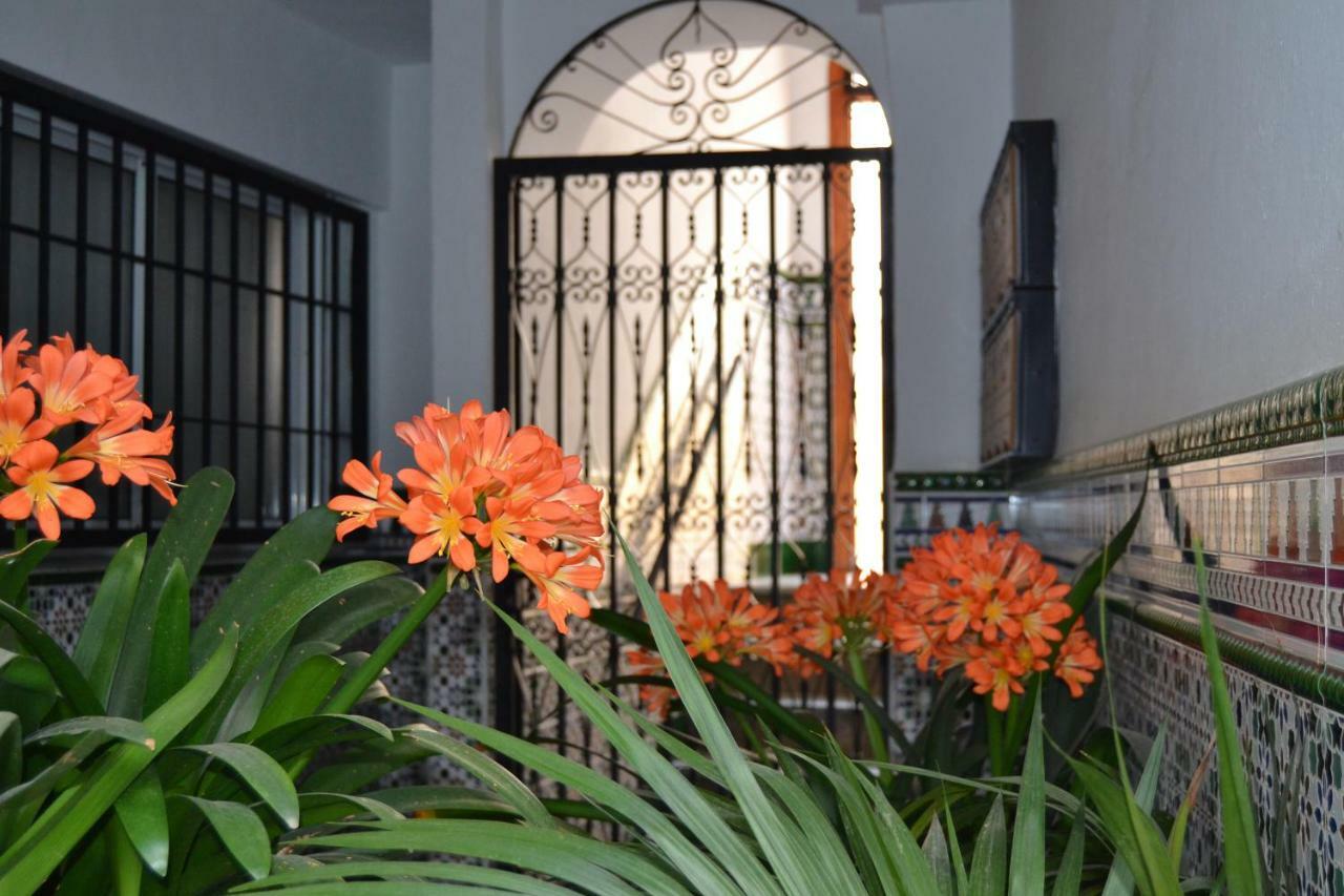 דירות קורדובה Nuevo Sueno Del Alcazar מראה חיצוני תמונה